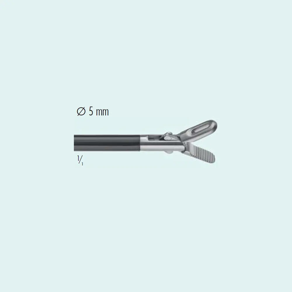 Dissecting Forceps