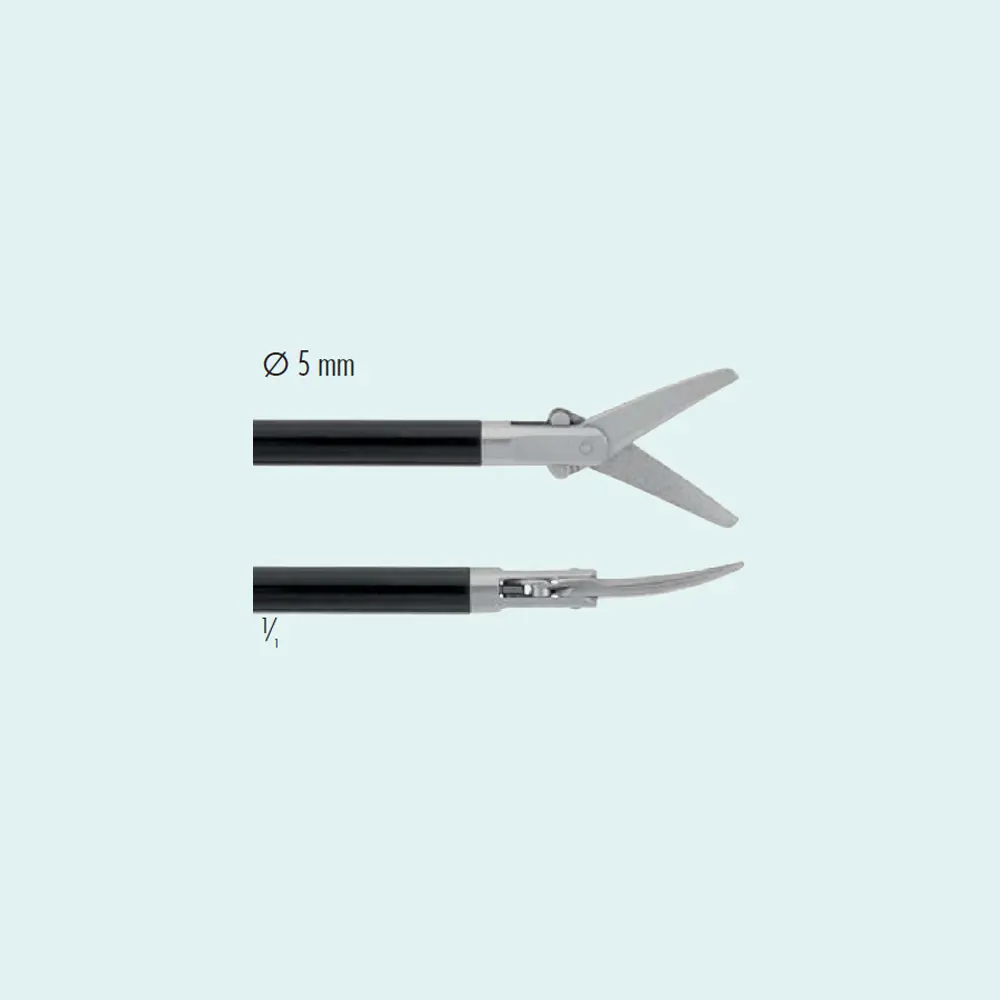 Scissors